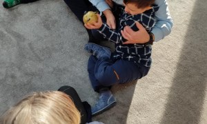 Tygryski: Grudzień 2025 - Zdjęcie 15