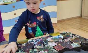 Tygryski: Grudzień 2025 - Zdjęcie 17