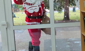 Tygryski: Grudzień 2025 - Zdjęcie 19