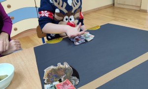 Tygryski: Grudzień 2025 - Zdjęcie 26