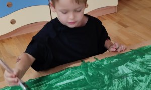 Tygryski: Grudzień 2025 - Zdjęcie 29