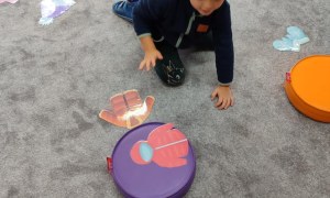 Tygryski: Grudzień 2025 - Zdjęcie 55