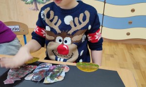 Tygryski: Grudzień 2025 - Zdjęcie 83