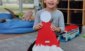 Tygryski: Grudzień 2025 - Zdjęcie 115