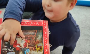 Tygryski: Grudzień 2025 - Zdjęcie 56