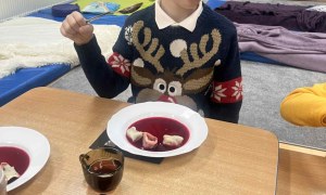 Tygryski: Grudzień 2025 - Zdjęcie 93