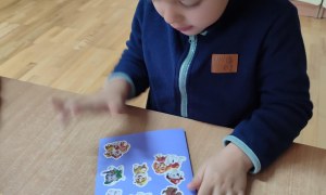 Tygryski: Grudzień 2025 - Zdjęcie 81