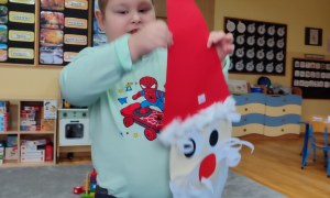 Tygryski: Grudzień 2025 - Zdjęcie 97