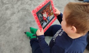 Tygryski: Grudzień 2025 - Zdjęcie 122