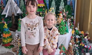 Wręczenie nagród i dyplomów za udział w Rodzinnym Konkursie Plastycznym na Najpiękniejszą Choinkę - Zdjęcie 31