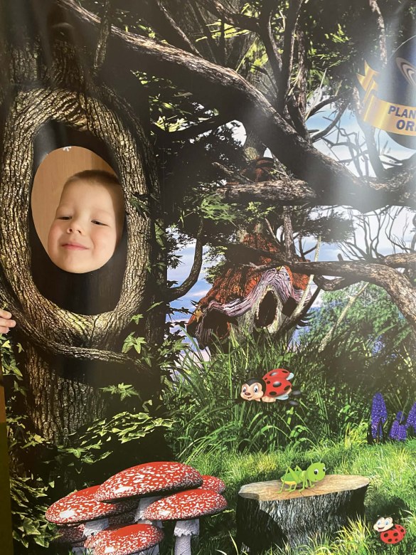 Kino Sferyczne w Przedszkolu - Zdjęcie 37