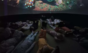 Kino Sferyczne w Przedszkolu - Zdjęcie 8