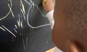 Jeżyki: Styczeń 2026 - Zdjęcie 4