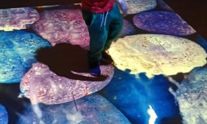 Jeżyki: Styczeń 2026 - Zdjęcie 5