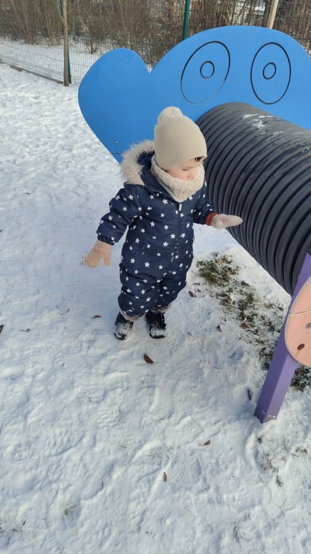 Żabki: Styczeń 2026 - Zdjęcie 2