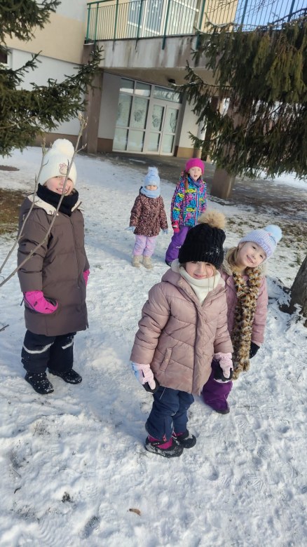 Żabki: Styczeń 2026 - Zdjęcie 5