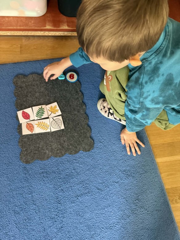 Żabki: Styczeń 2026 - Zdjęcie 86