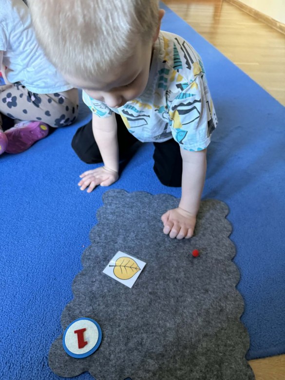 Żabki: Styczeń 2026 - Zdjęcie 166