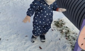 Żabki: Styczeń 2026 - Zdjęcie 2