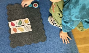 Żabki: Styczeń 2026 - Zdjęcie 86