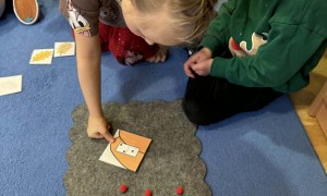 Żabki: Styczeń 2026 - Zdjęcie 149