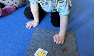 Żabki: Styczeń 2026 - Zdjęcie 166