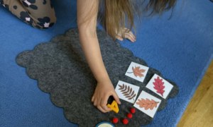 Żabki: Styczeń 2026 - Zdjęcie 77