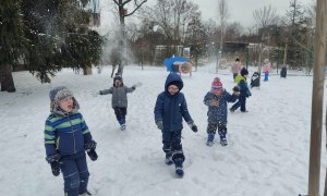 Żabki: Styczeń 2026 - Zdjęcie 12