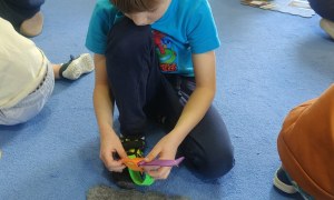 Żabki: Styczeń 2026 - Zdjęcie 127