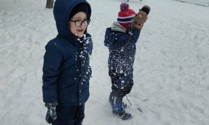 Żabki: Styczeń 2026 - Zdjęcie 16