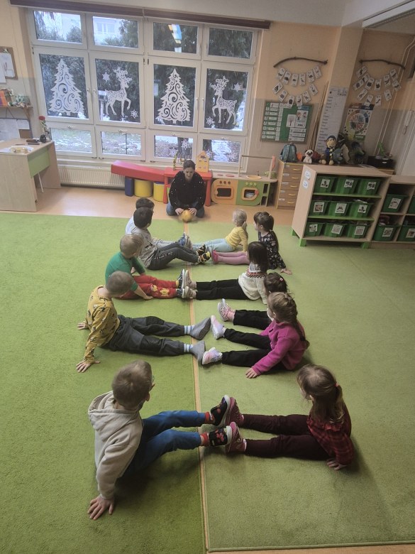 Sówki: Styczeń 2026 - Zdjęcie 1