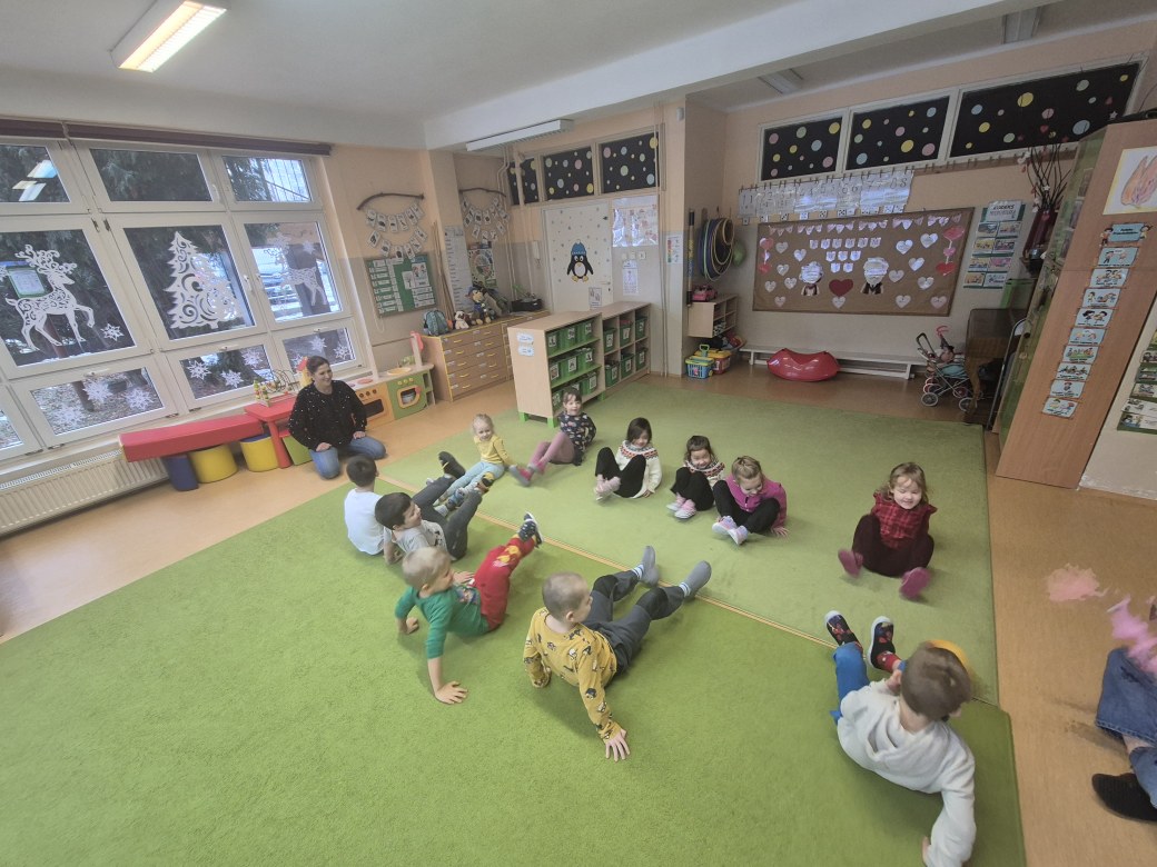 Sówki: Styczeń 2026 - Zdjęcie 3