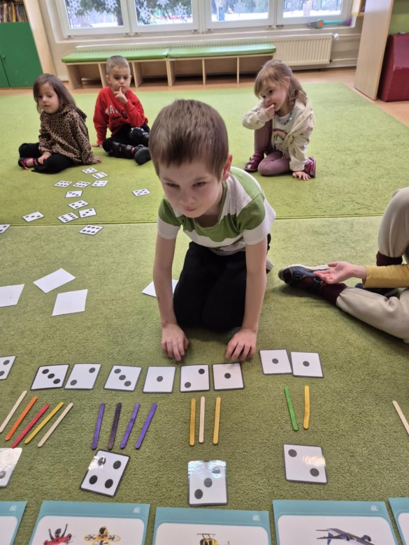 Sówki: Styczeń 2026 - Zdjęcie 67