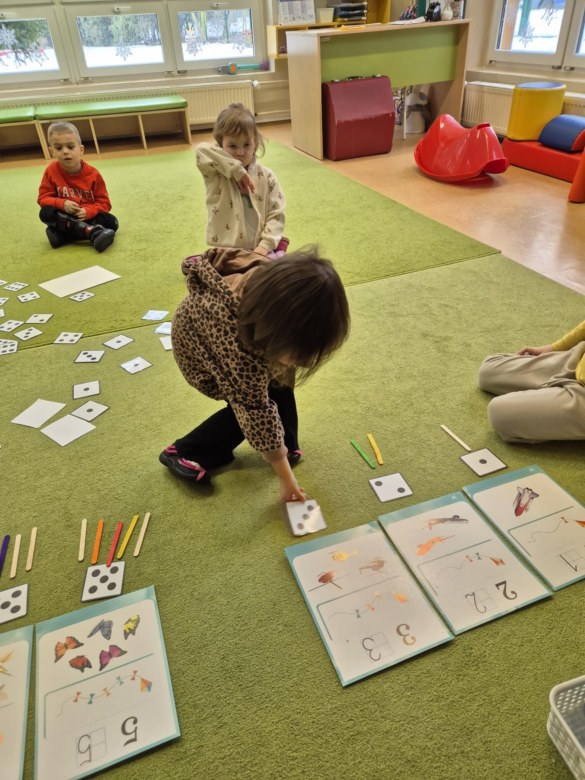 Sówki: Styczeń 2026 - Zdjęcie 73