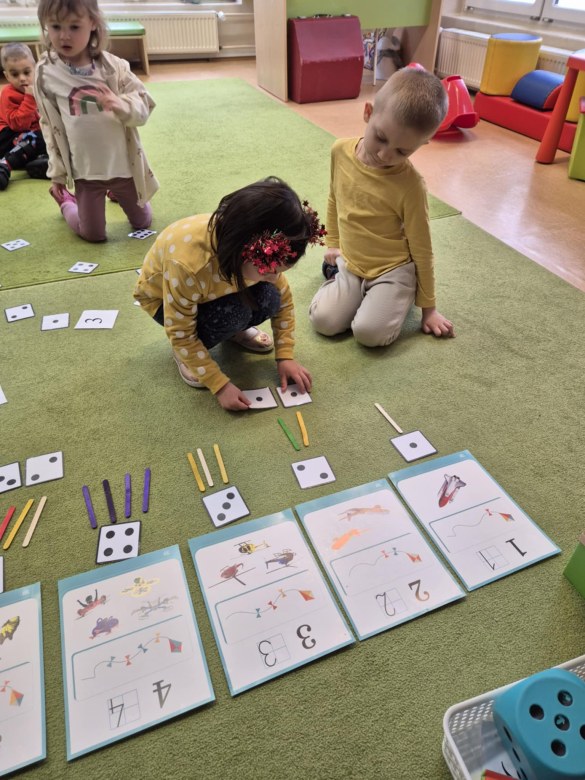 Sówki: Styczeń 2026 - Zdjęcie 84