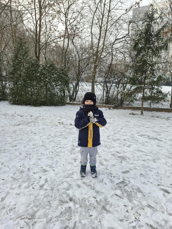 Sówki: Styczeń 2026 - Zdjęcie 21