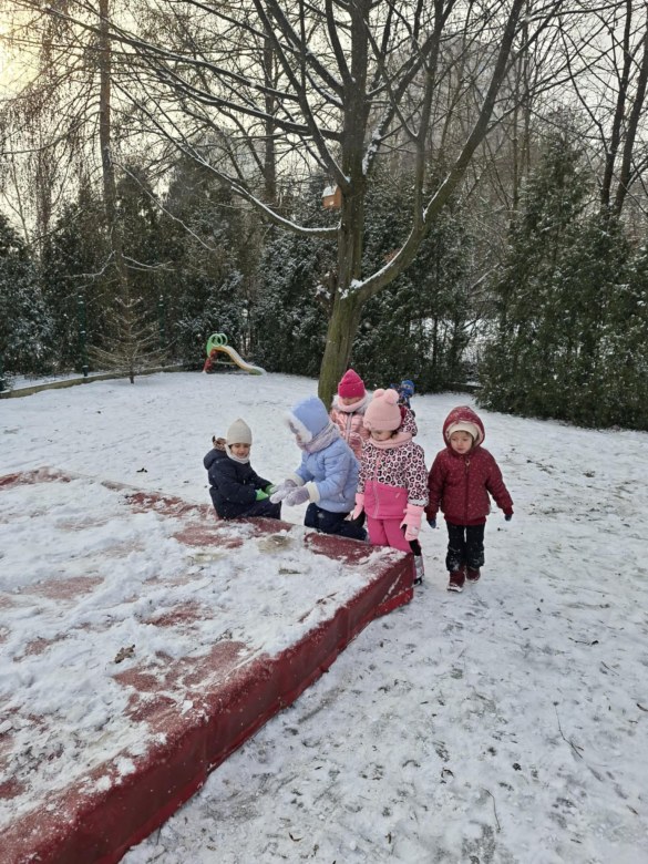 Sówki: Styczeń 2026 - Zdjęcie 26