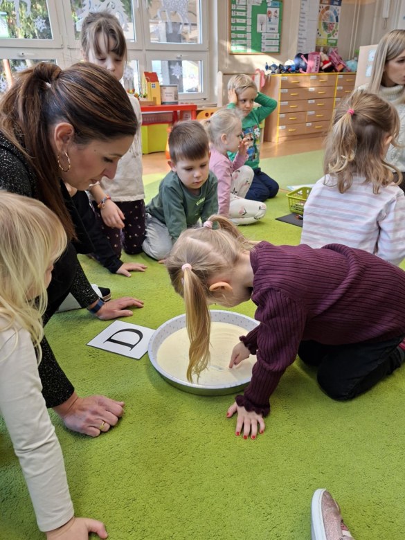 Sówki: Styczeń 2026 - Zdjęcie 47