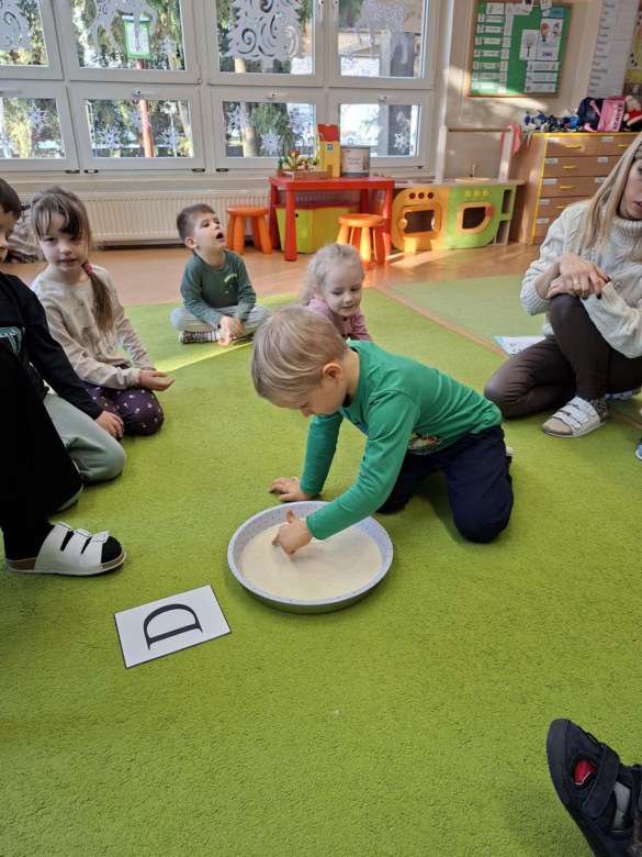 Sówki: Styczeń 2026 - Zdjęcie 54