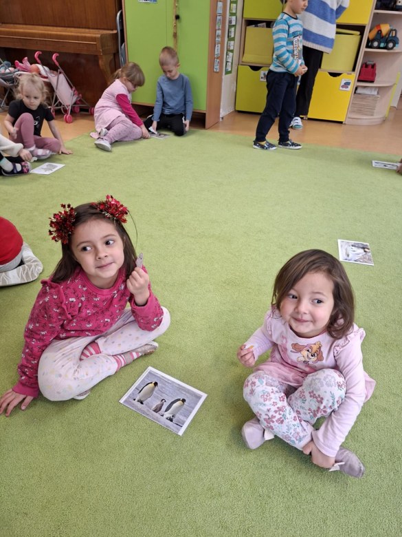 Sówki: Styczeń 2026 - Zdjęcie 61