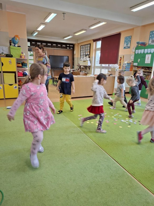 Sówki: Styczeń 2026 - Zdjęcie 15