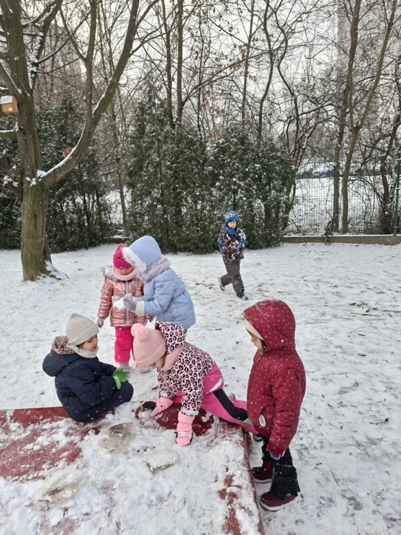 Sówki: Styczeń 2026 - Zdjęcie 57