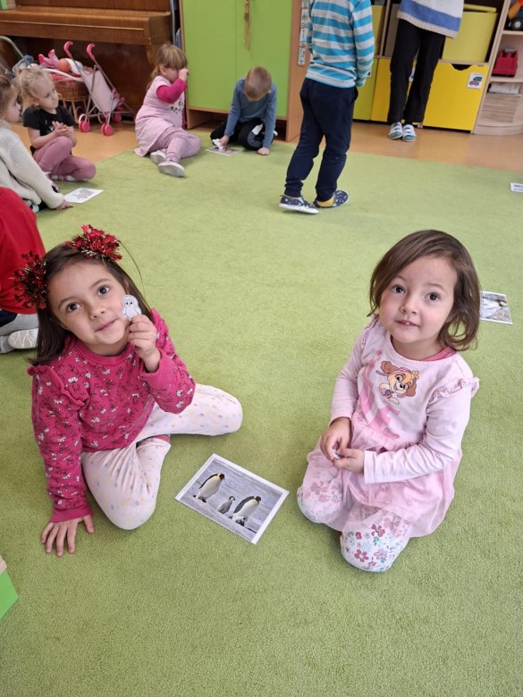 Sówki: Styczeń 2026 - Zdjęcie 58