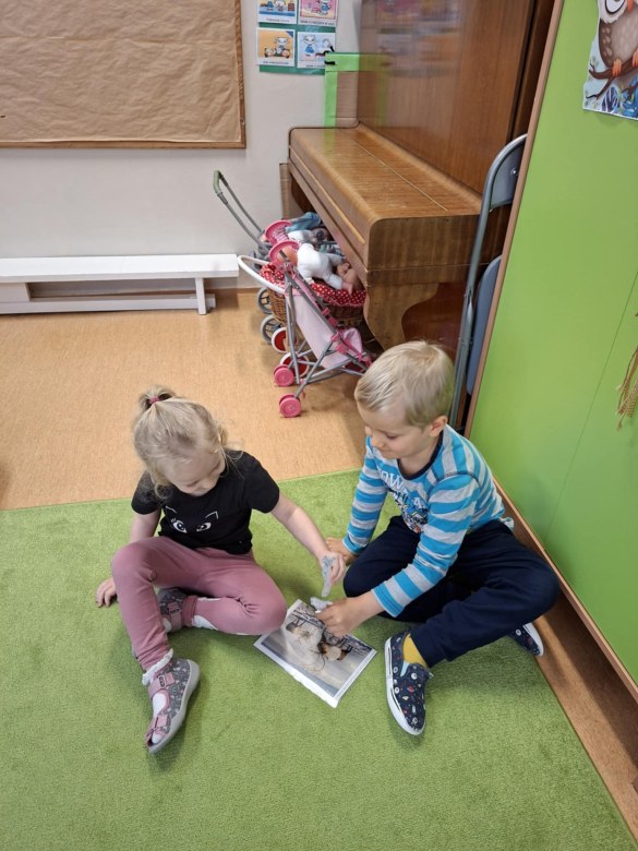 Sówki: Styczeń 2026 - Zdjęcie 60