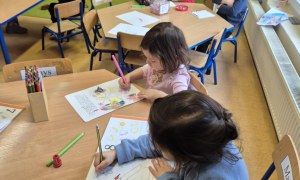 Sówki: Styczeń 2026 - Zdjęcie 64