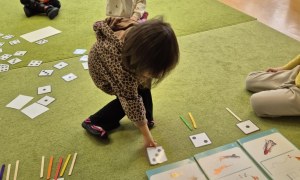 Sówki: Styczeń 2026 - Zdjęcie 73