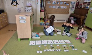 Sówki: Styczeń 2026 - Zdjęcie 74