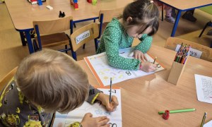 Sówki: Styczeń 2026 - Zdjęcie 75