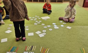 Sówki: Styczeń 2026 - Zdjęcie 82