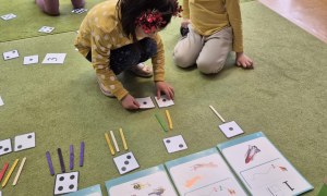 Sówki: Styczeń 2026 - Zdjęcie 84